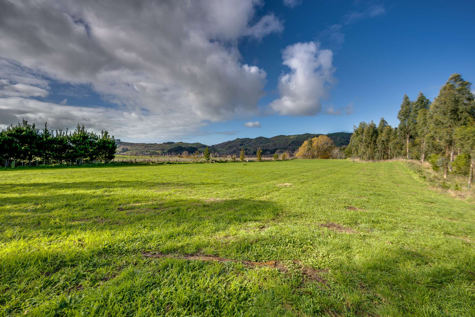 240 Matangi Road Central Hawkes Bay Coastal_0