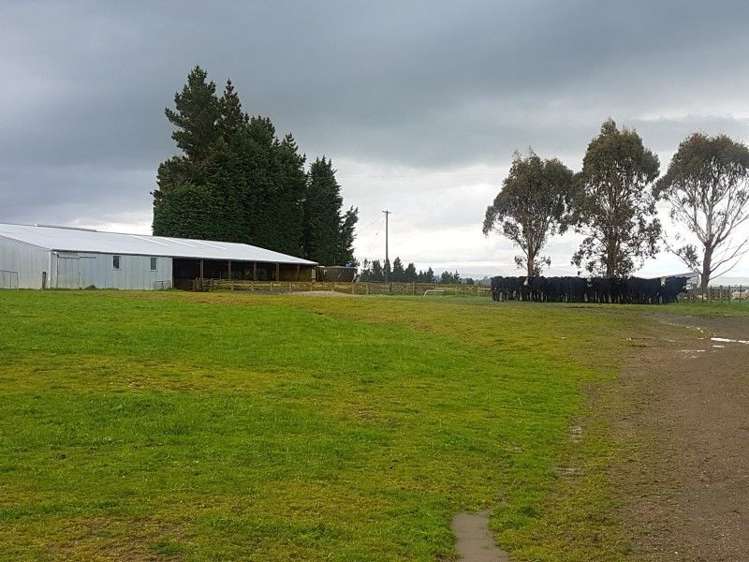 1680 Mahinerangi Road Waipori_25