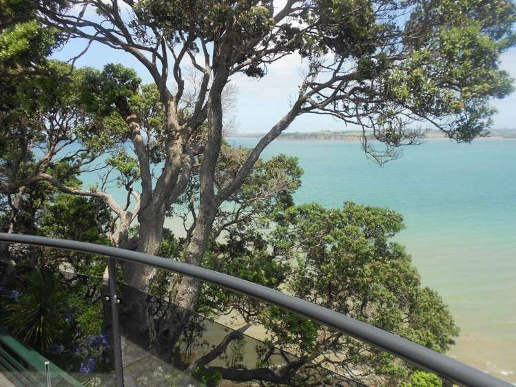 787 Whangaparaoa Road Manly_17