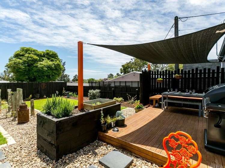 259b Huatoki Street Upper Vogeltown_12