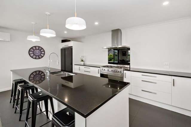 40 Mclenaghan Road Rolleston_2