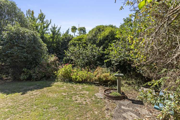 691 Highway 22 Pukekawa_17