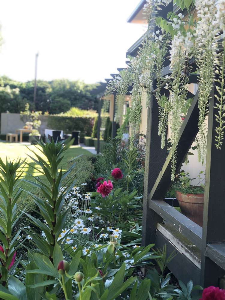 51 Ivey Road Templeton_15