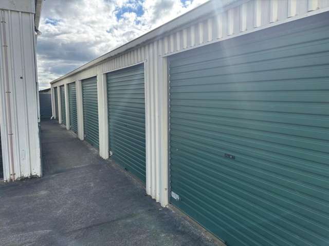 30 Reeve Street Levin_3