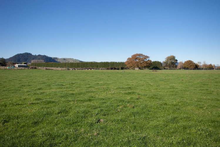 312b Marychurch Road Matangi_7