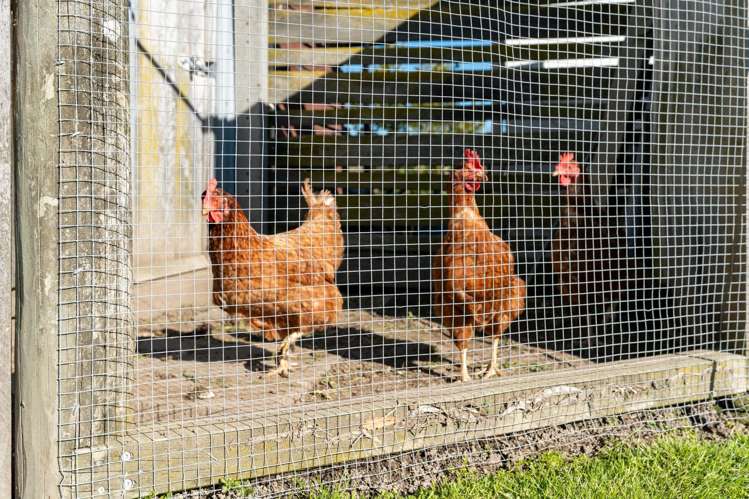 50 Miro Street Masterton_19