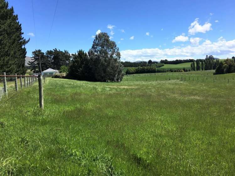 308 Waiwera Station Road Clinton and Surrounds_2