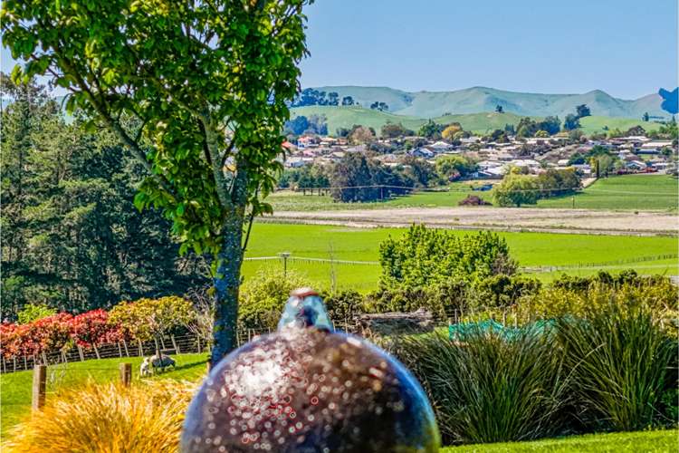 38 JG Wilson Drive Waipukurau_23