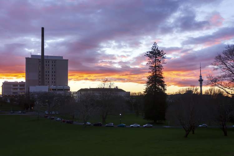 806/96 Symonds Street Grafton_6