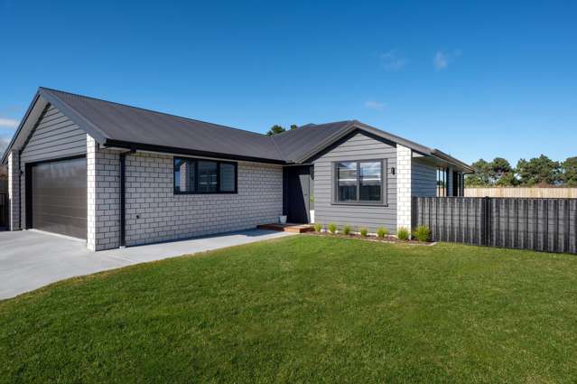 10 Tarata Place Wharewaka_3