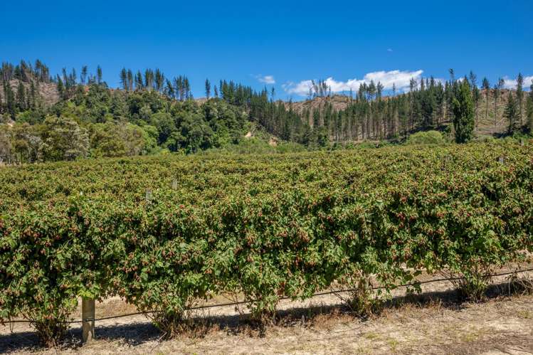 160 Tadmor Valley Road Tapawera_12