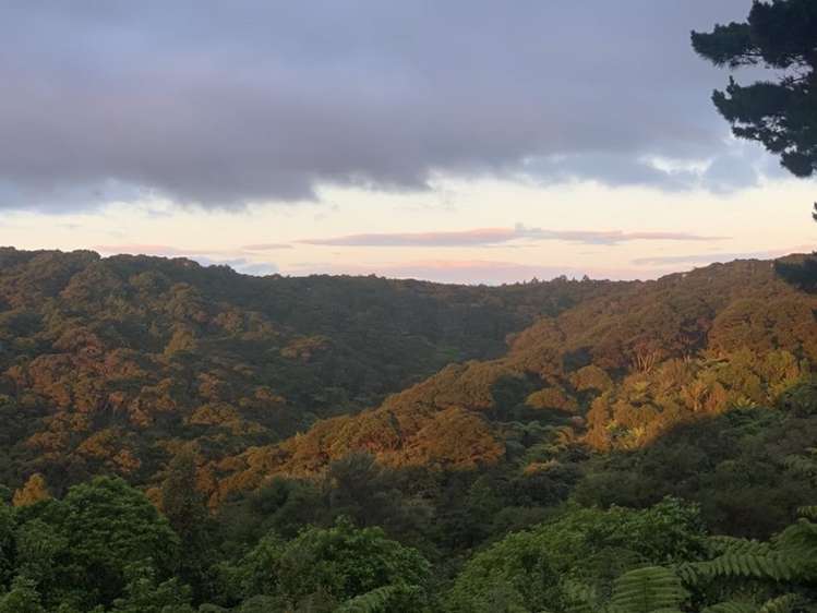 74c Solway Road Whitford_18