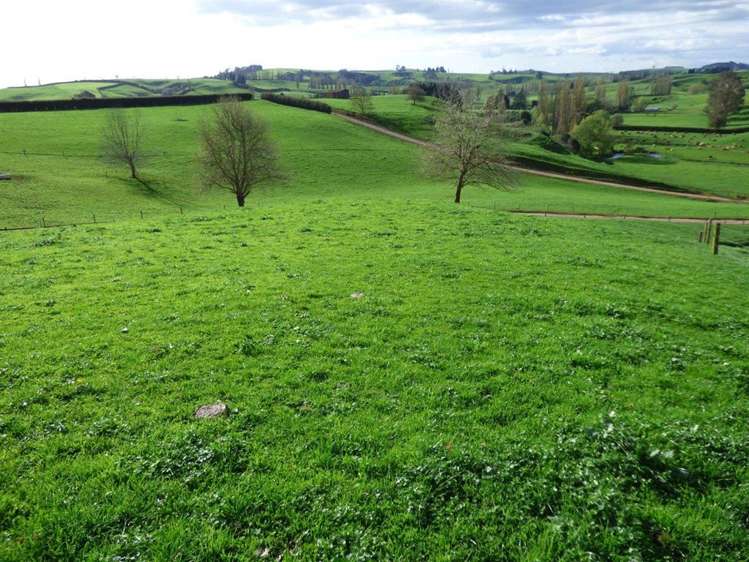 203/219 Paewhenua Road Maihiihi_8