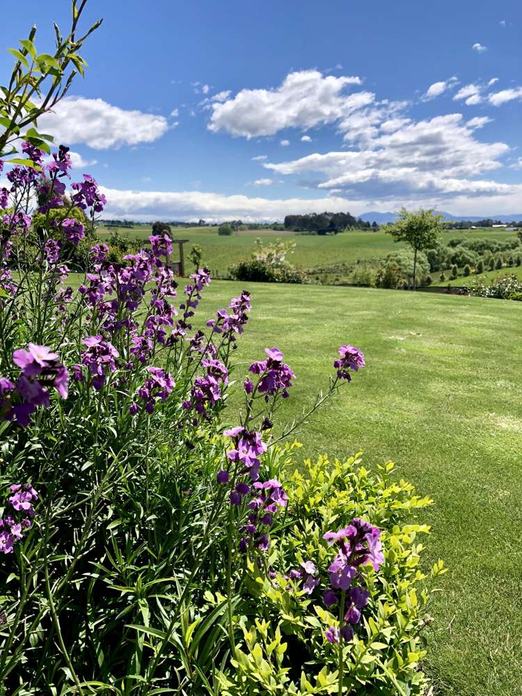 628 Claremont Road Claremont_15