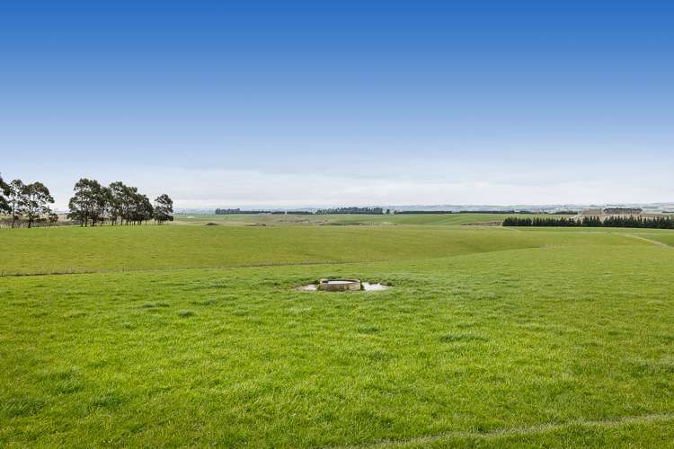 675 Black Bridge Road Clutha_3