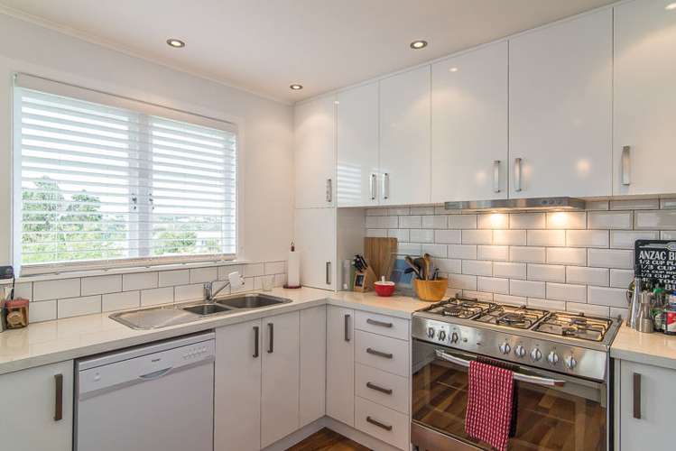 88 Miramar North Road Miramar_3