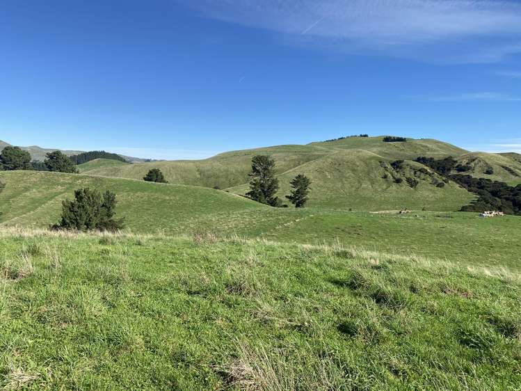 48 Heathfield Road Waipara_28