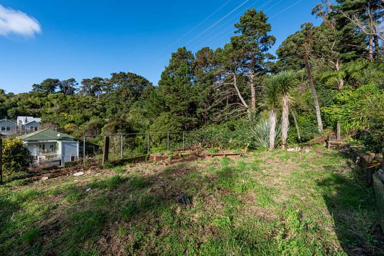 5 Mortimer Terrace Aro Valley_14