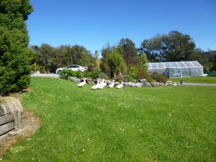 139 Taylorville Road Coal Creek_20