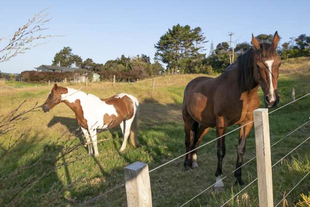 280a Rimmer Road Helensville_4