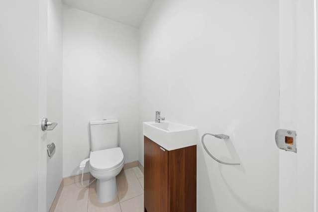 299 Murphys Road Flat Bush_4