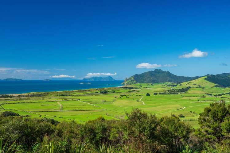 65 Rarangi Heights Parua Bay_19