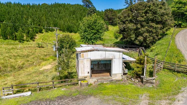 386 Pawarenga Road Broadwood_24