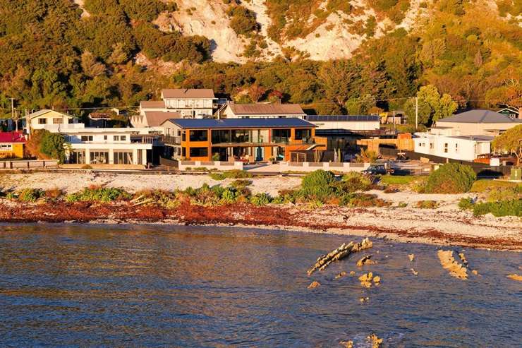 Kaikōura, a popular tourist town with impressive marine life, has one of the largest shares of multiple property owners with a mortgage in New Zealand. Photo / Getty Images