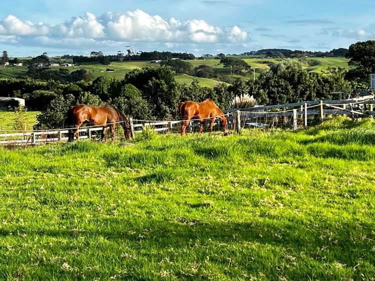 8 Colbeck Road Awhitu_0