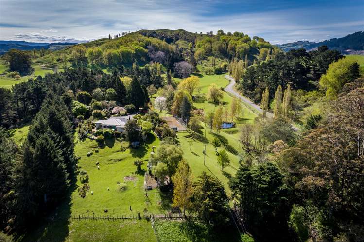 213 Ellis Wallace Road Eskdale_24