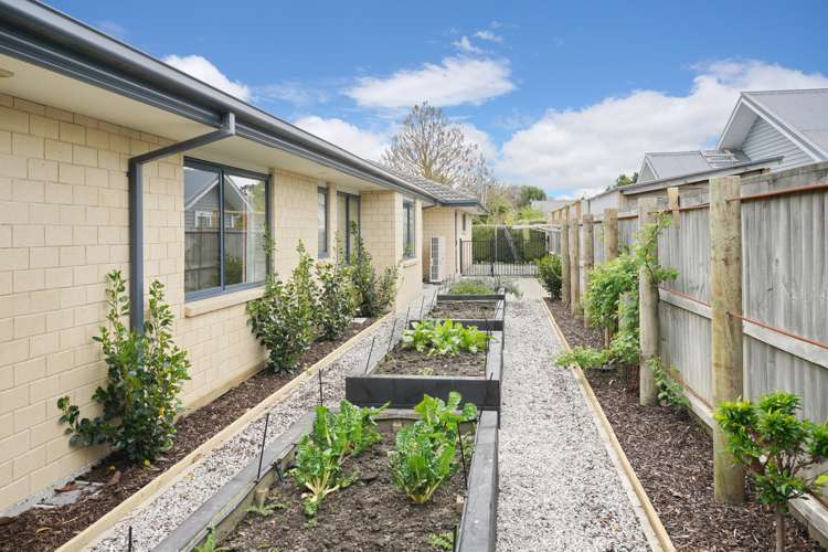 93b Lowes Road Rolleston_24