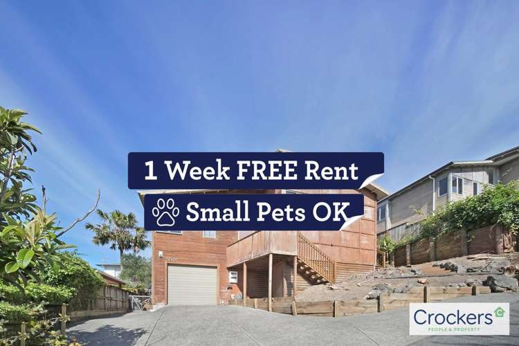 50b Chorley Avenue Massey_0