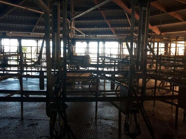 346 Rugby Road Tariki_50