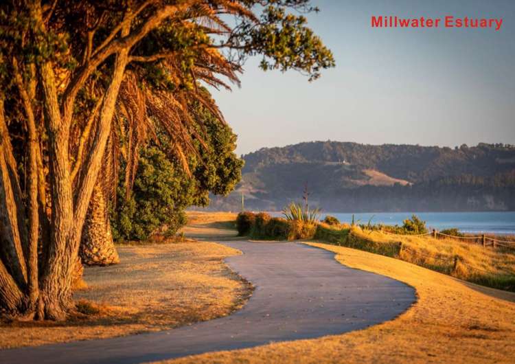 46 Celestial Crescent Orewa_13