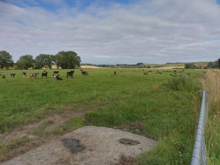 240 Levels Valley Road Levels Valley_8