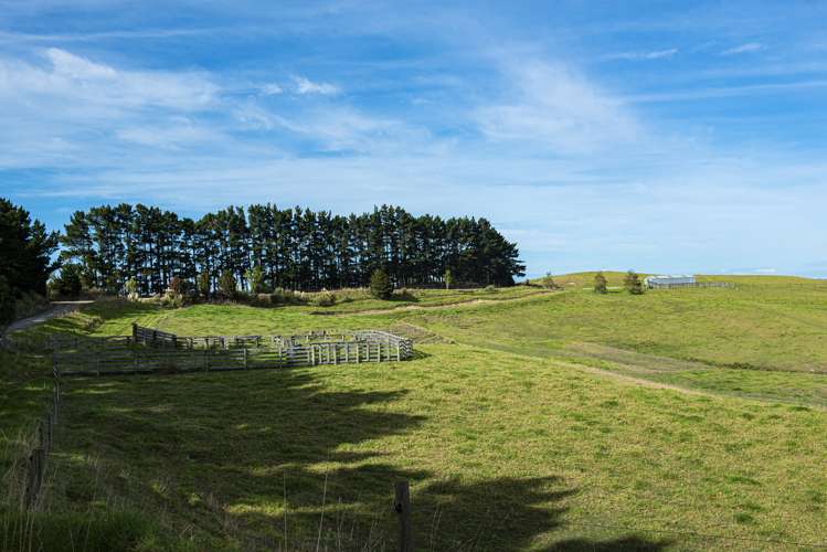 Parahi Road Ruawai_21