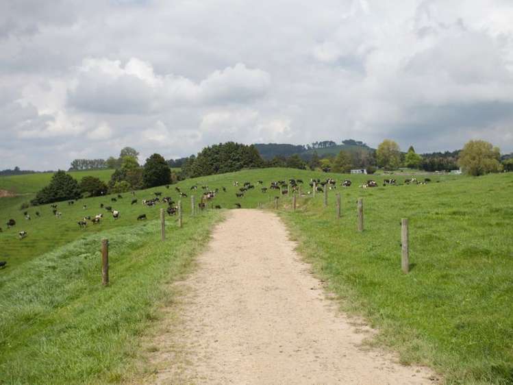 438 Waotu South Road Putaruru_32