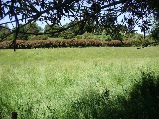 26 Liddell Road Whangamata_4