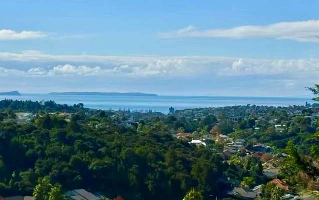 951 East Coast Road Torbay_2