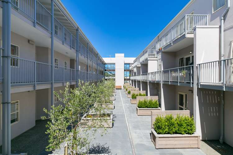 306/72 Herald Street Berhampore_12