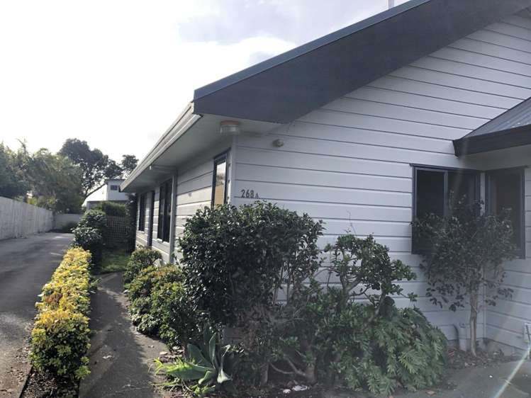 268A One Tree Point Road_0