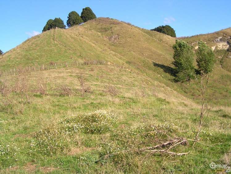 1865 Ohura Road Waimiha-Ongarue_7