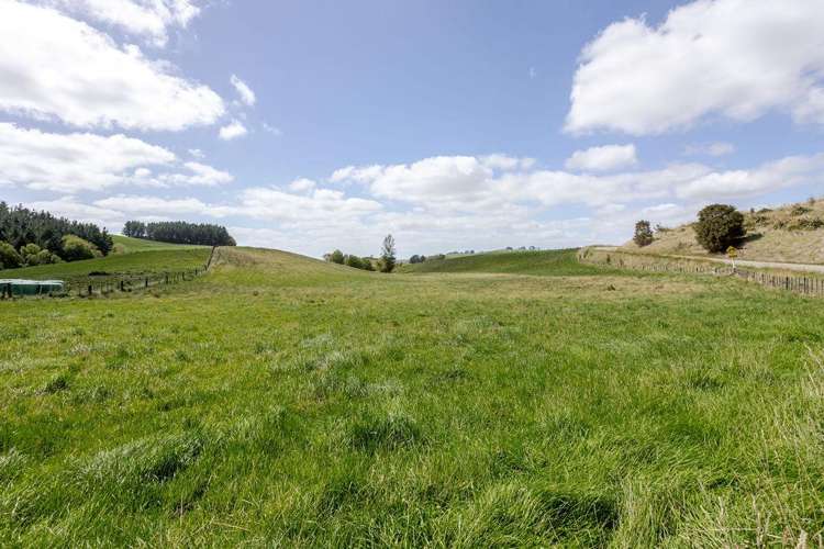 205 Ngawaka Road Flemington_21