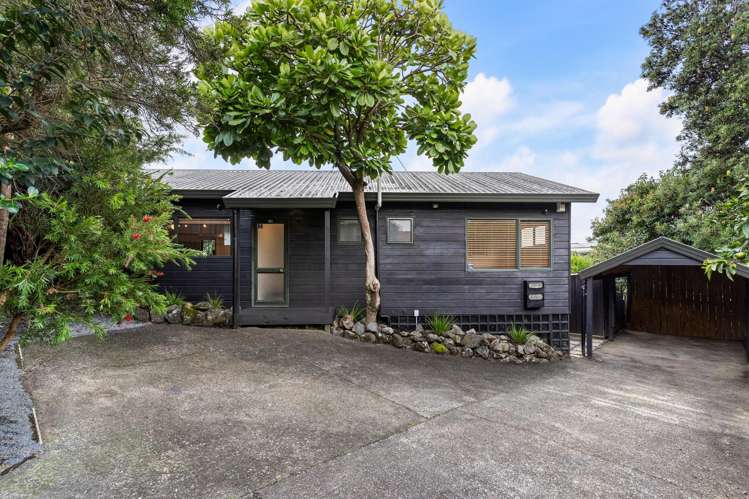 57B Herdman Street_0