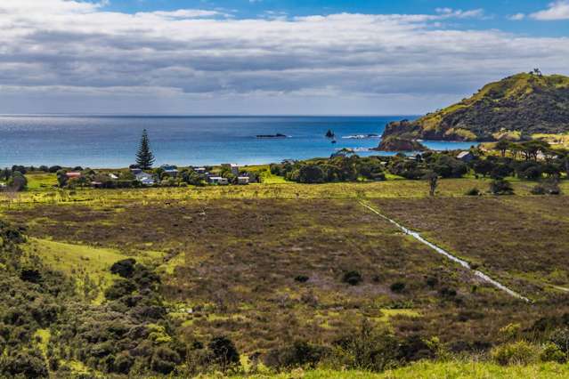 39 Sandhills Road Great Barrier Island (Aotea Island)_2