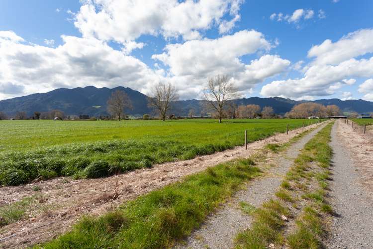 O'Donoghue Road Hauraki Surrounds_12