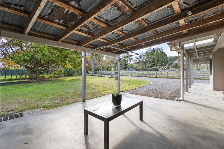 363 Brandon Hall Road Bulls_28