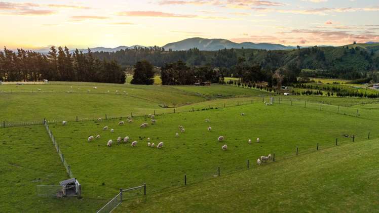 548 Loburn Kowai Road Loburn_40