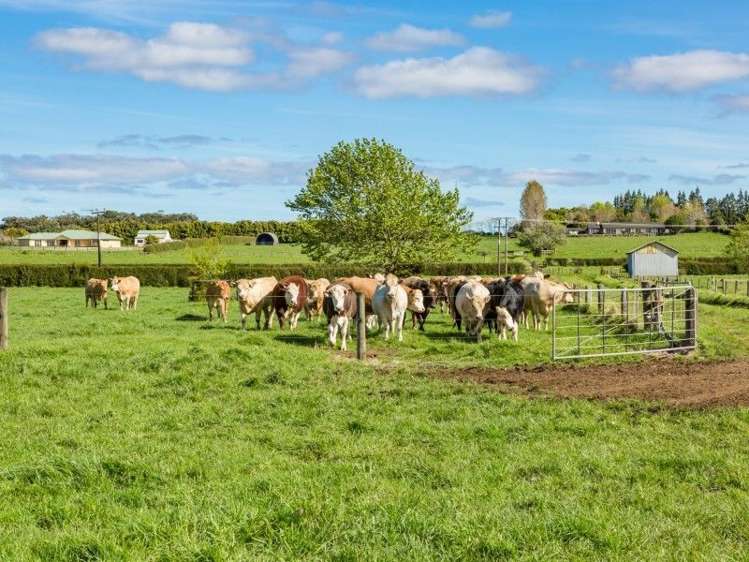 403 Te Ahu Ahu Road Waimate North_11