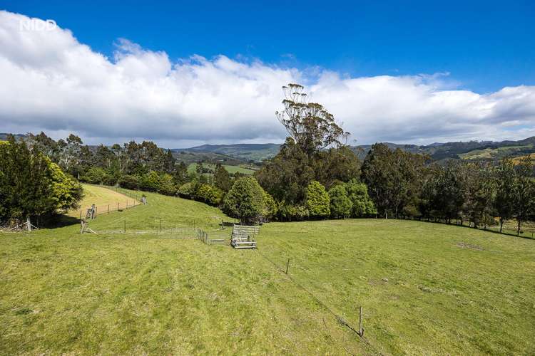 847 Mount Cargill Road Waitati_28